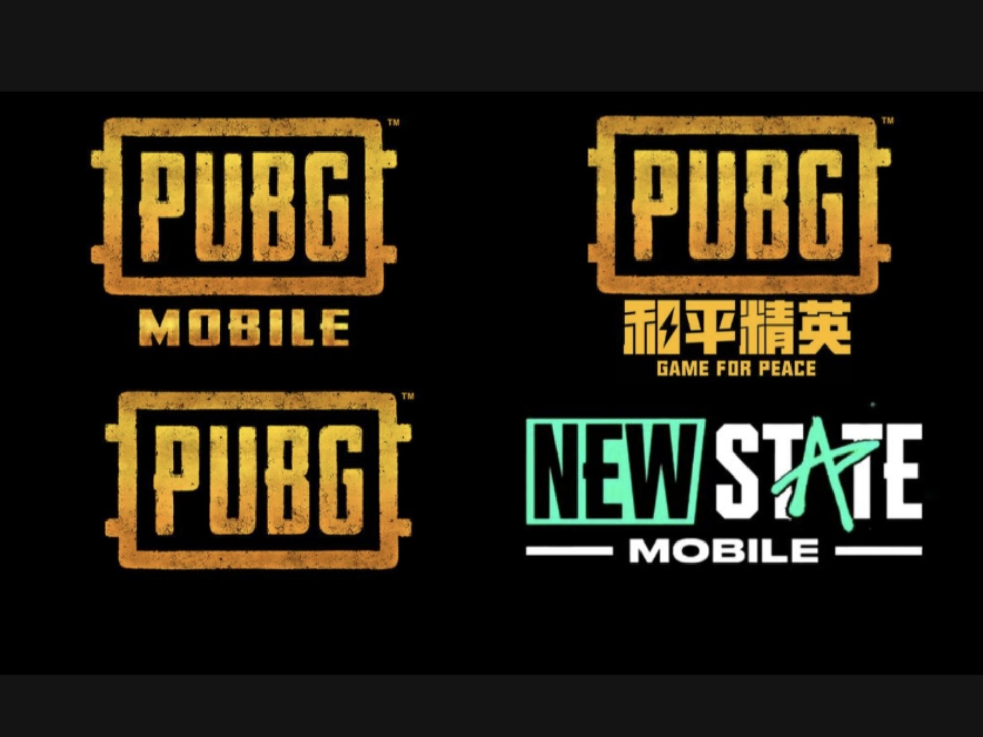 pubg是什么游戏的简称揭秘PUBG，一款热门的电竞游戏-第2张图片