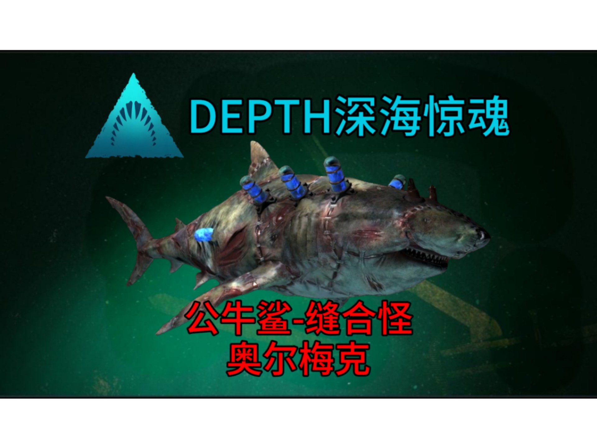 万能鲨鱼网络版万能鲨鱼网络版，引领数字化新时代