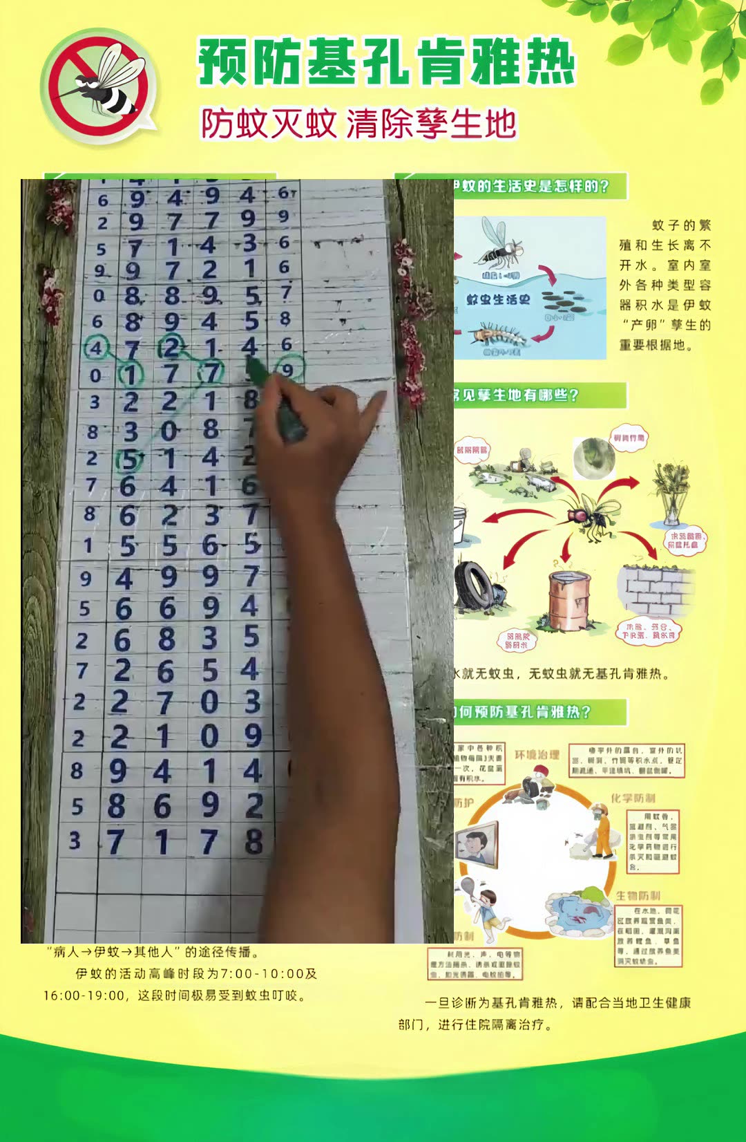排列五综合走势图综合版走势图排列五综合走势图综述-第2张图片