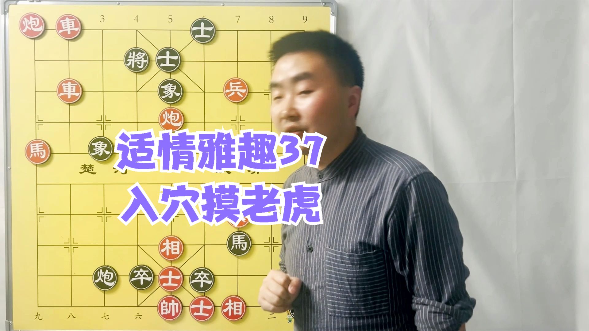 老虎宝典老虎宝典，解锁自然之秘