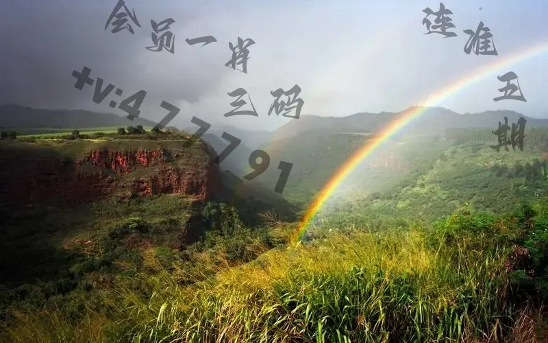2024澳门资料正版大全-第2张图片