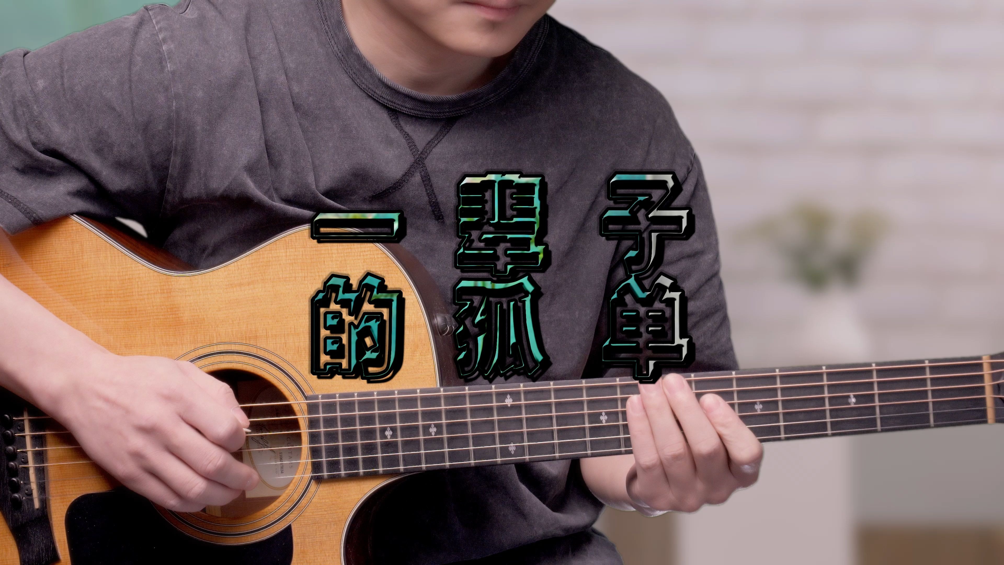 一辈子的孤单吉他谱