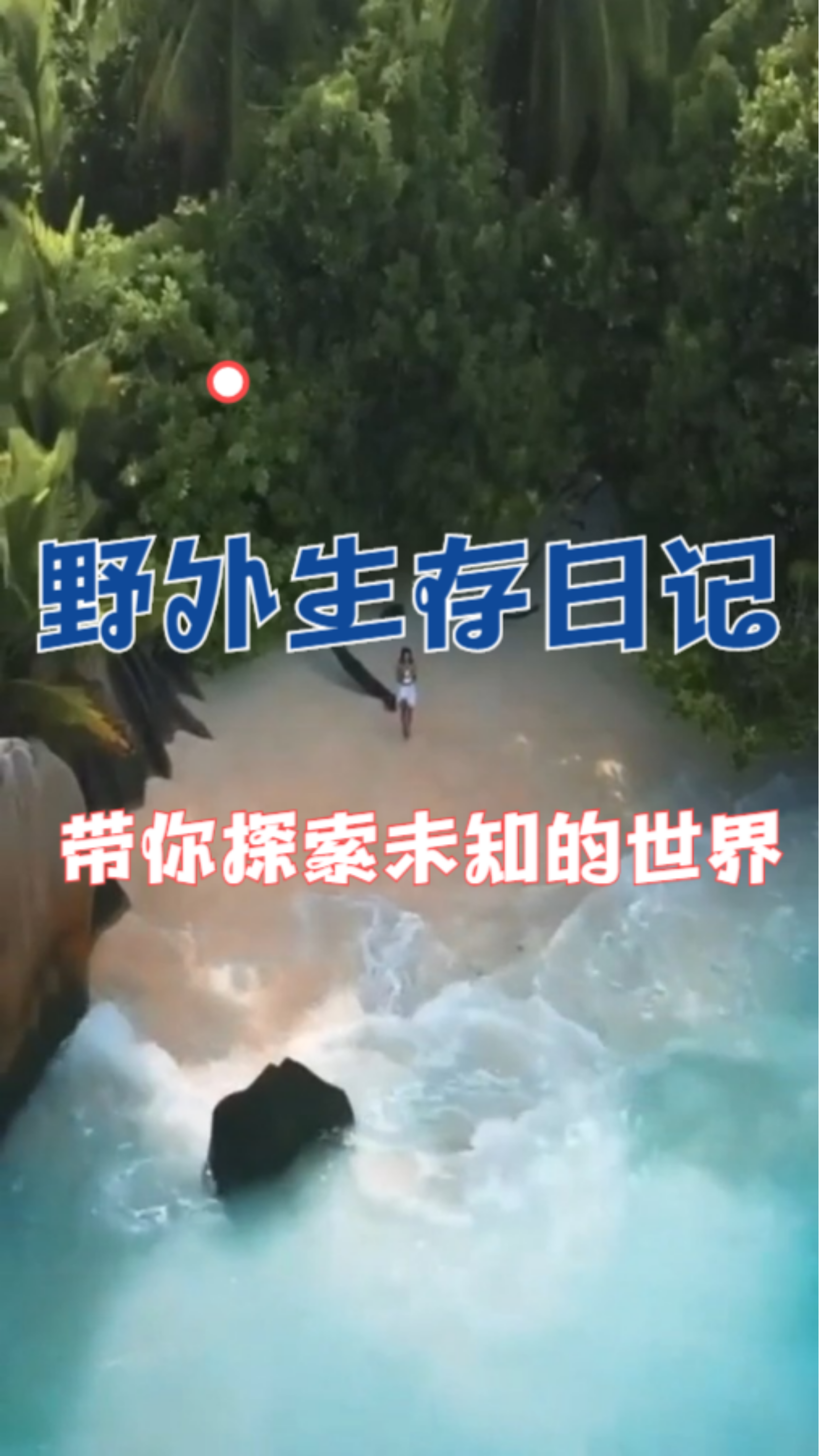 夜月B站直播，探索未知的世界-第2张图片