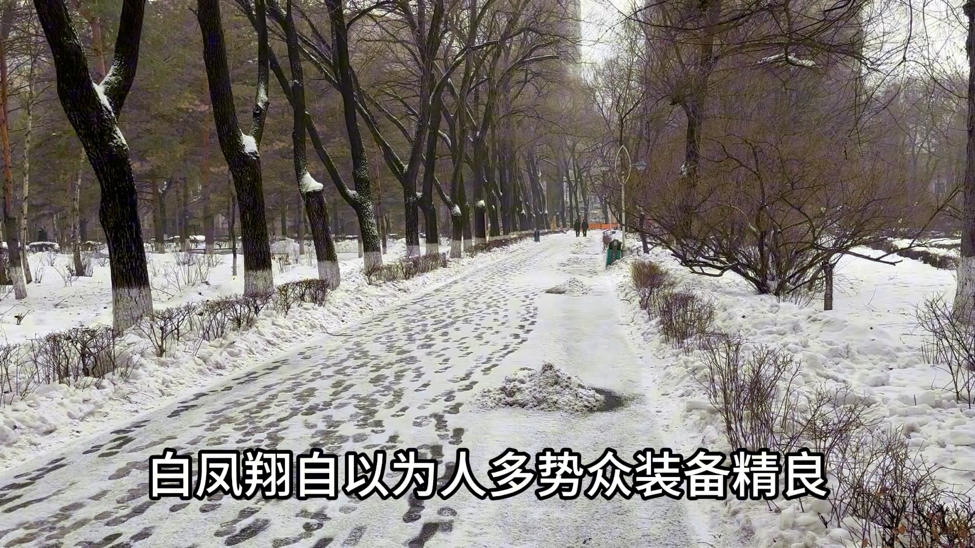 白凤翔白凤翔，一位卓越的领导者