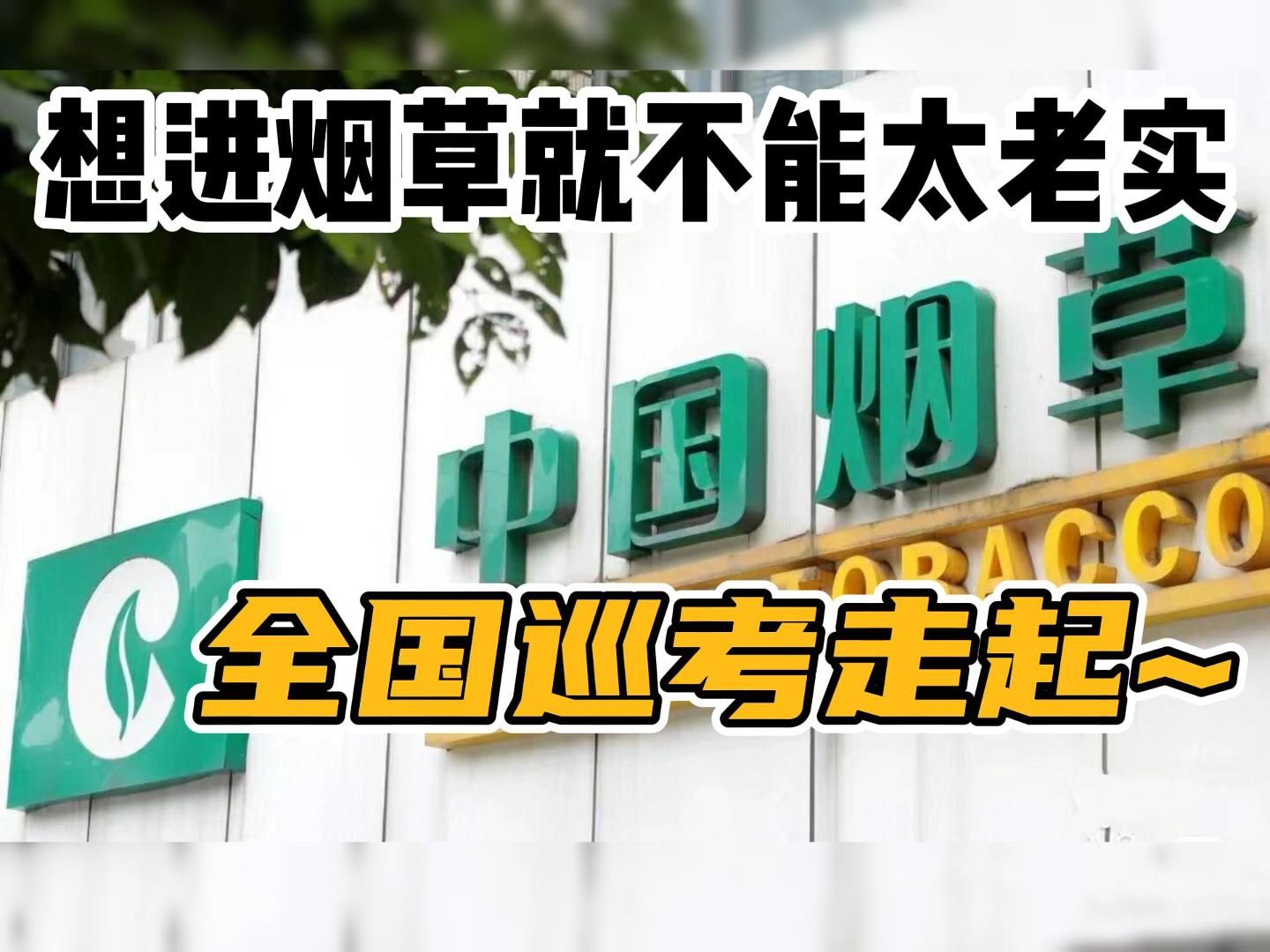 盈彩网，把握机遇，把握未来-第3张图片