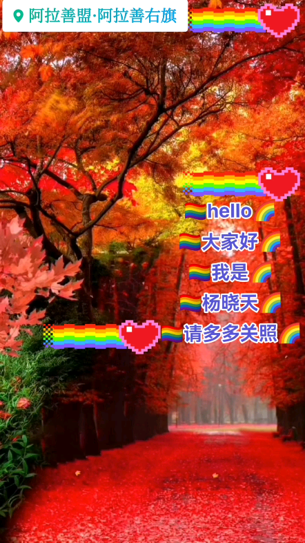 好彩网，把握机遇，迎接好运-第2张图片