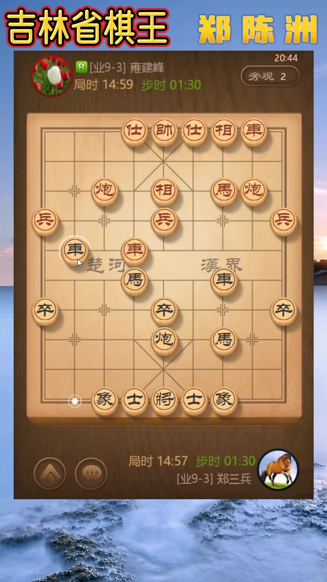 中国象棋大师王，棋艺精湛，成就非凡