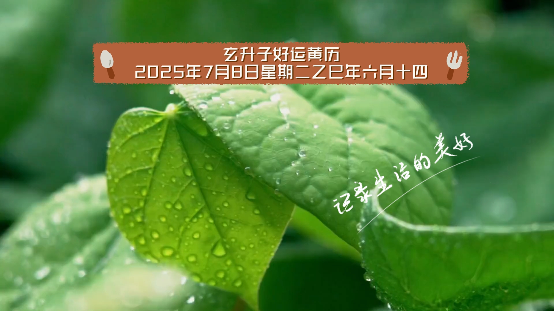 7月黄道吉日吉时7月黄道吉日查询2022年，把握好运，开启新篇章-第2张图片