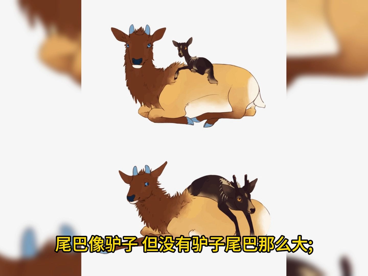 今晚必中四不像图