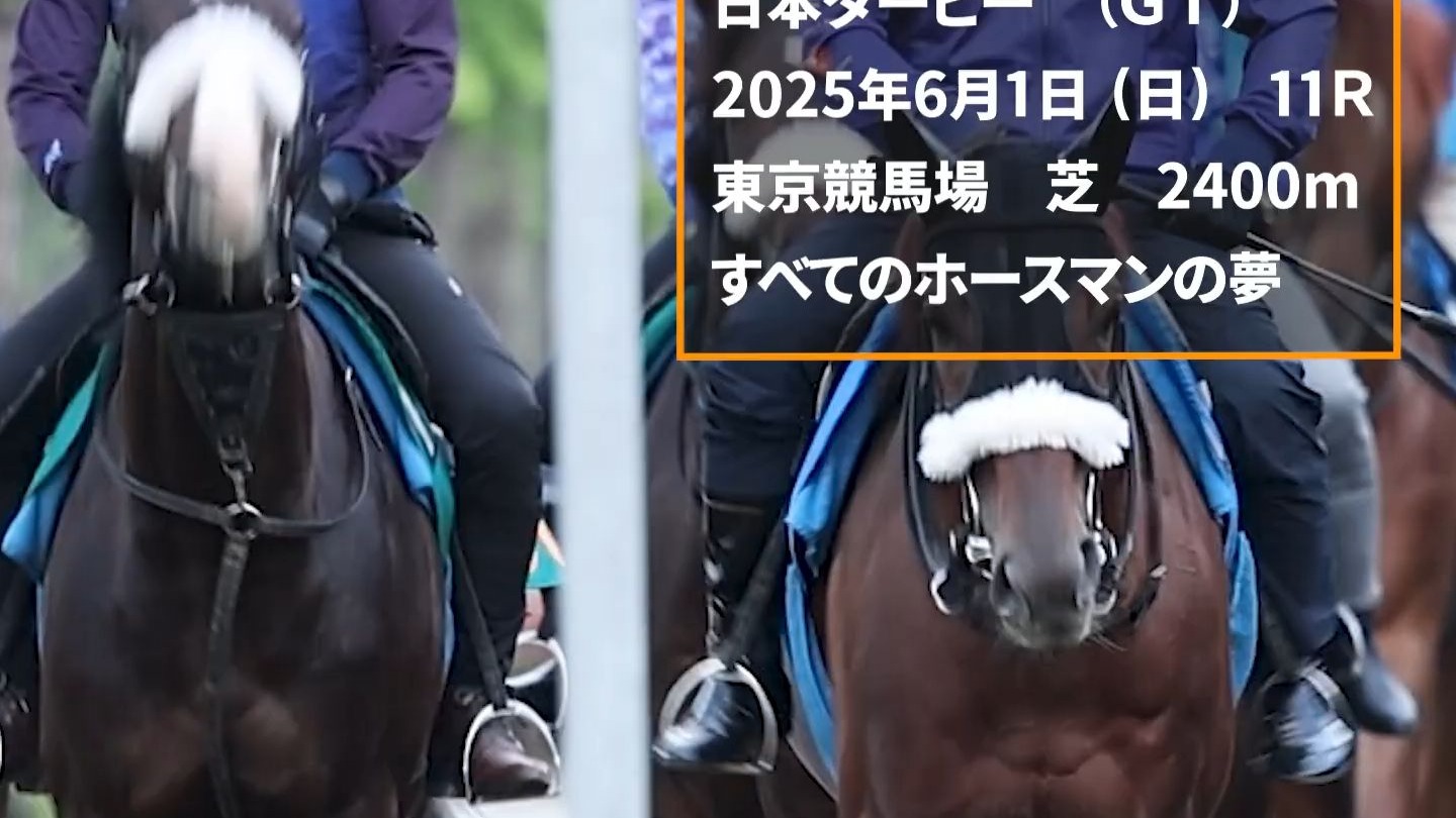 2025港六今晚开奖号码香港赛马会开奖结果揭晓，赛马爱好者们的期待与惊喜-第3张图片