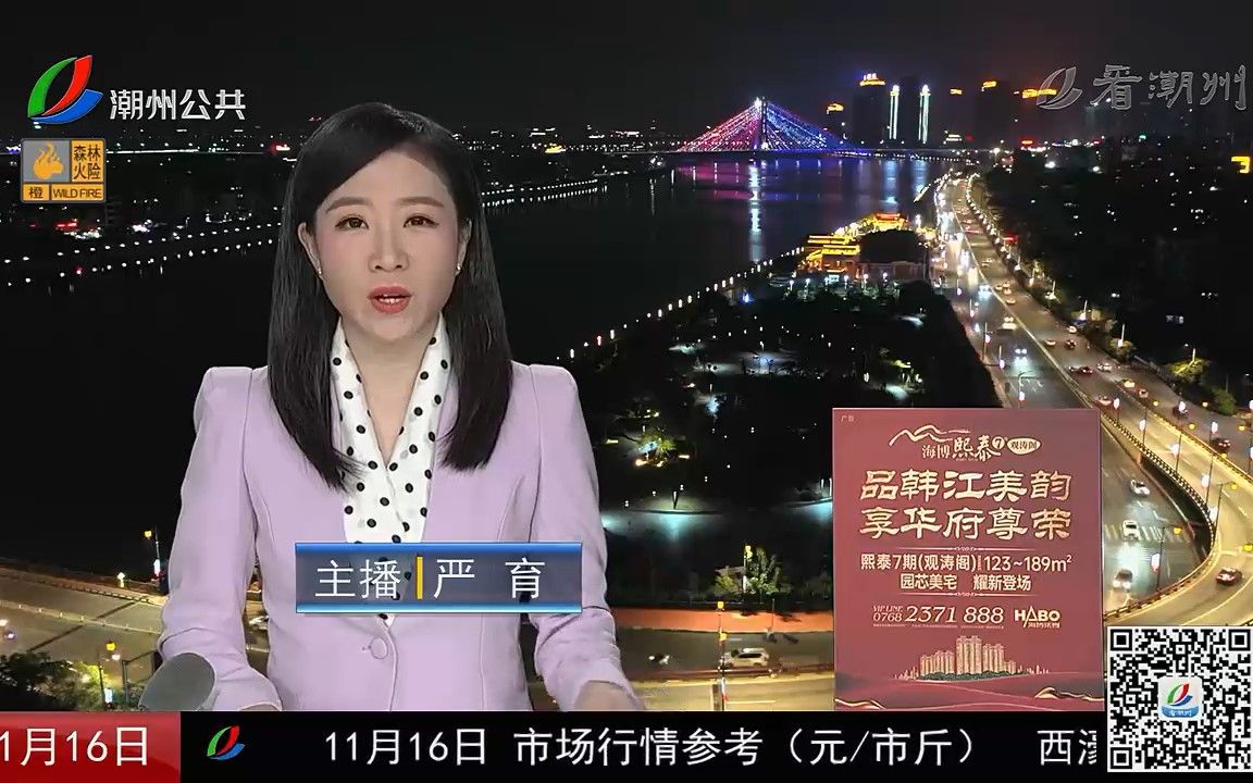 潮州电视台在线直播潮州电视台在线直播，实时新闻与文化盛宴-第1张图片