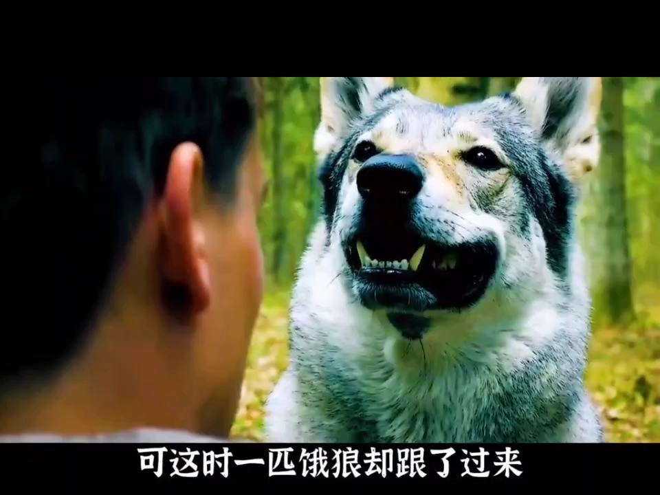 二战之救赎二战之救赎-第2张图片