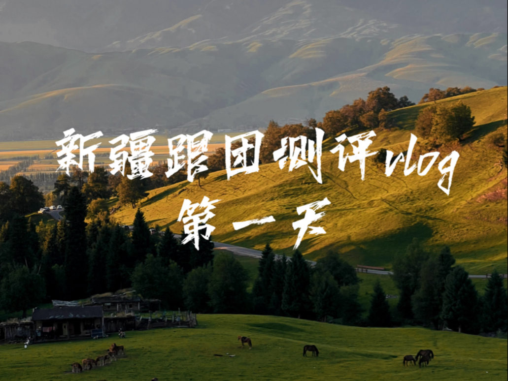 新疆首批旅游团进疆新疆首批旅游团进疆之旅-第3张图片