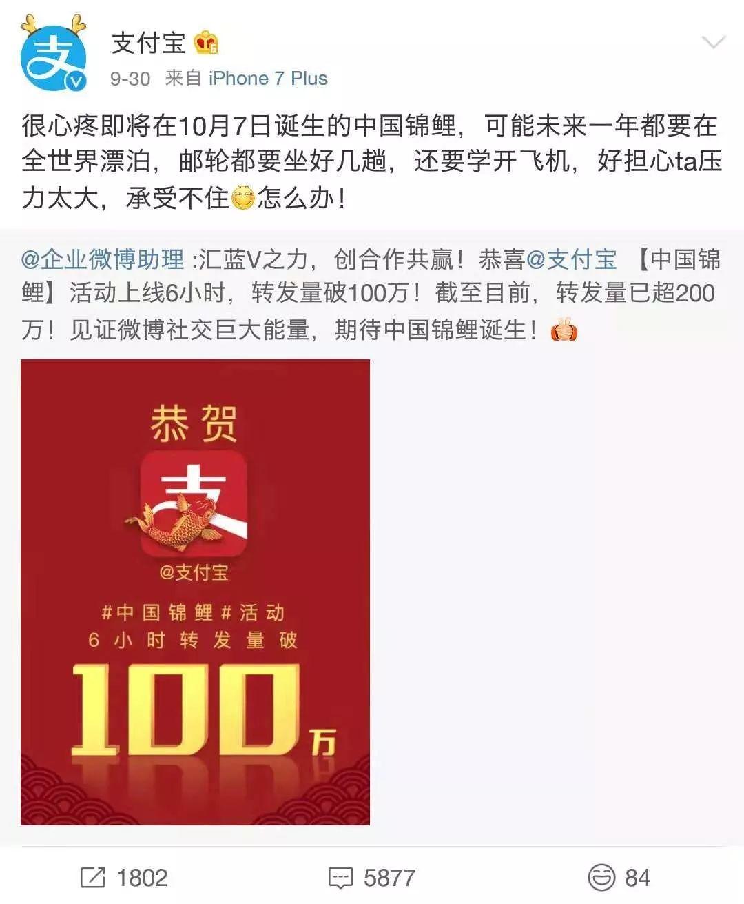 6合开奖揭秘6合开奖，神秘抽奖背后的秘密-第2张图片