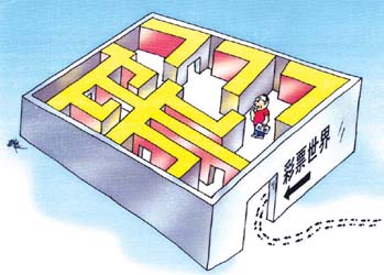 波胆APP官网，探索彩票预测与游戏体验