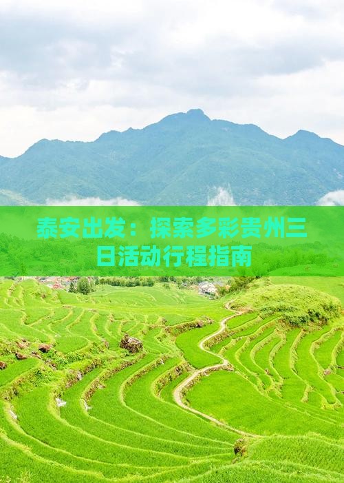 六和彩开奖结果资料查询2025六盒采，探索多彩生活-第3张图片