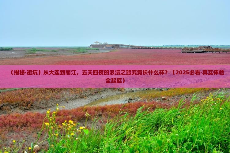 大连到云南旅游大连到云南旅游攻略-第3张图片