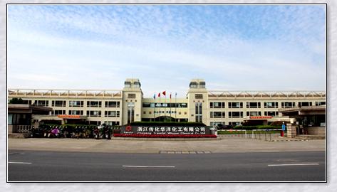浙江金帝集团有限公司浙江金帝集团有限公司，深耕实业，创新发展-第2张图片
