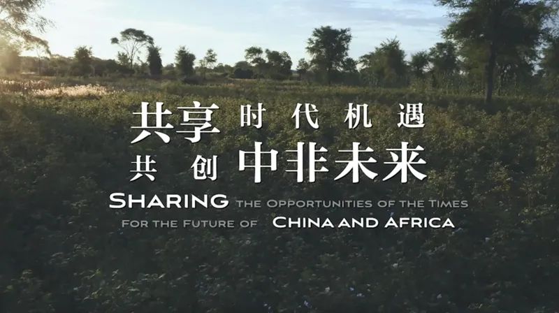 巅峰会员兑换码巅峰会，探索未来，共创辉煌
