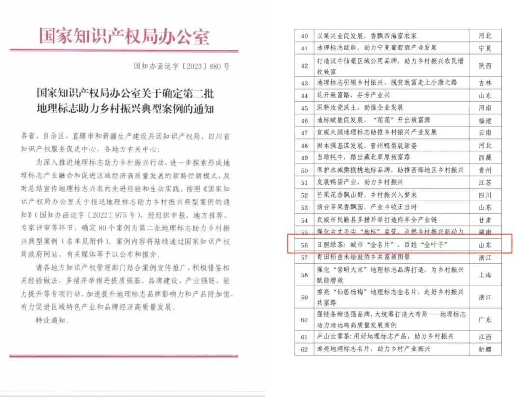 查看特马，探索未知的魅力