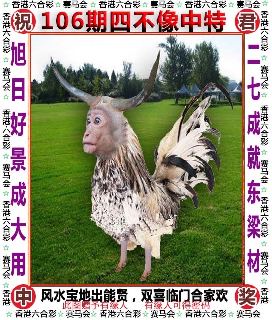 新门内部资料精准大全新门内部资料精准大全-第2张图片