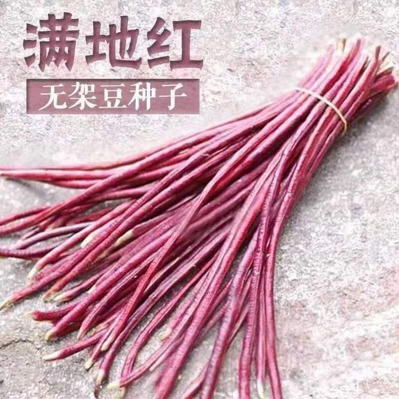 满地红-第2张图片