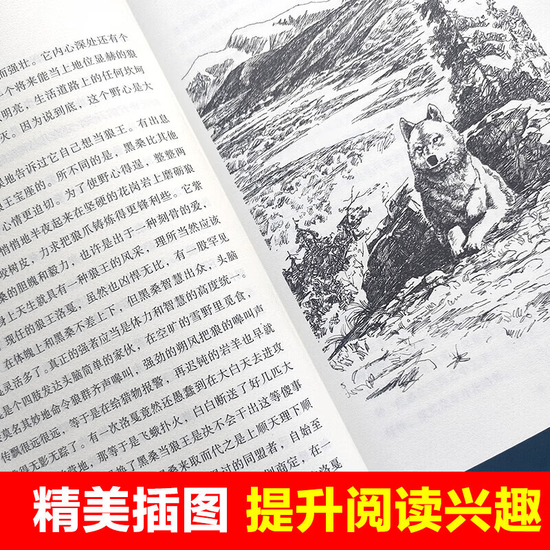 狼王梦全文阅读狼王梦全文阅读-第2张图片