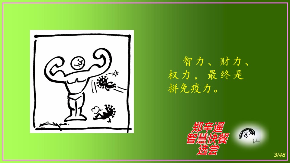 红姐统一图库图免费第一红姐统一图库88849，智慧之选，资源之宝-第3张图片