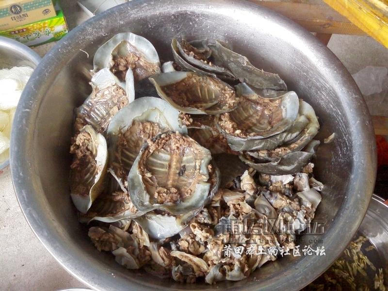 土地公论坛土地公论坛，探索土地资源与未来发展的智慧之窗
