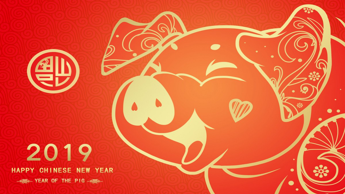 2019全年免费资料大全2019全年免费资料大全