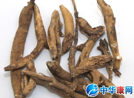 小草乌的图片小草乌的魅力与故事-第2张图片