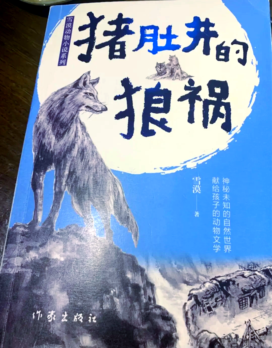 广西狼精英主论坛，探索狼性精神的深度交流