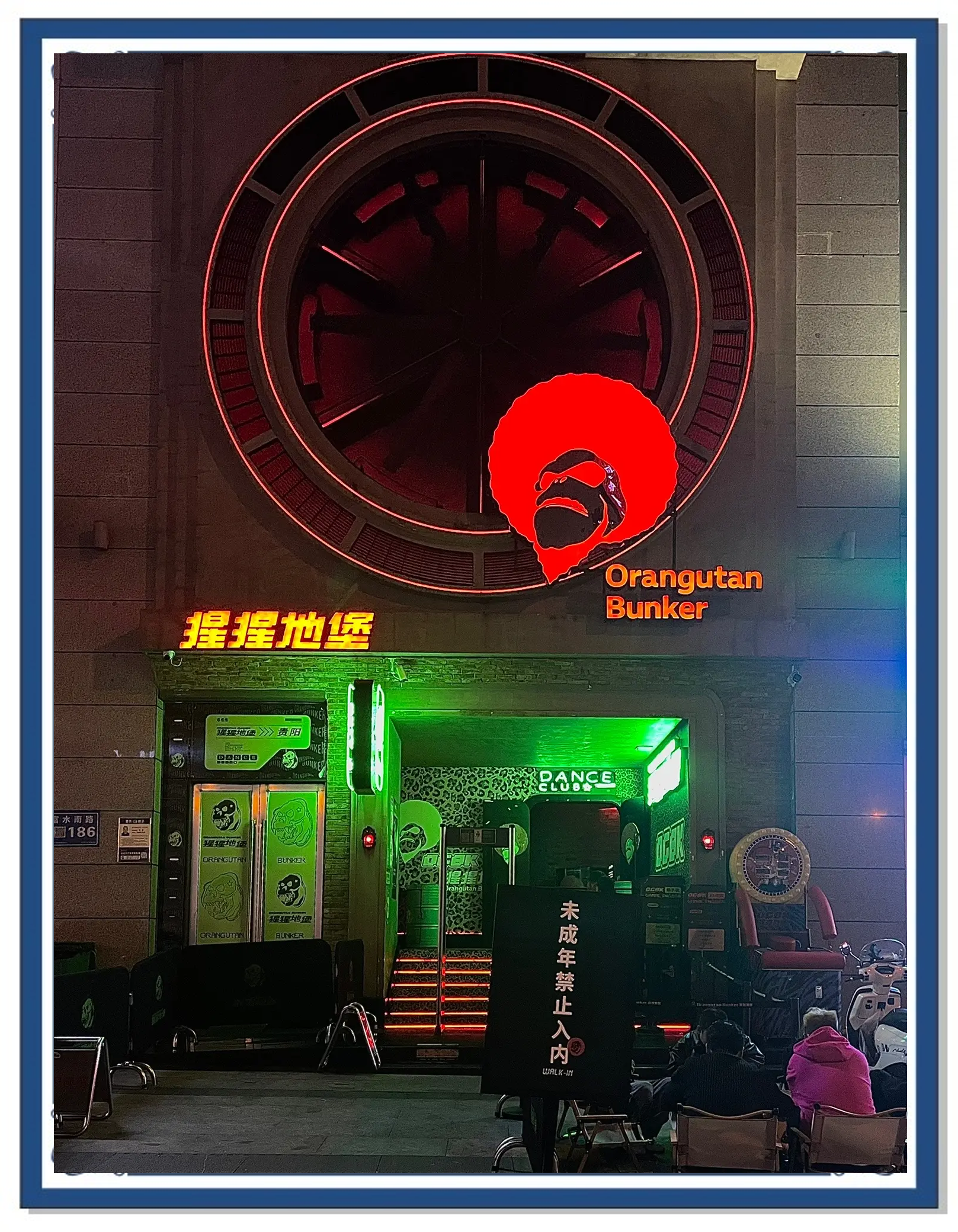 夜生活论坛，探索城市夜生活的新窗口