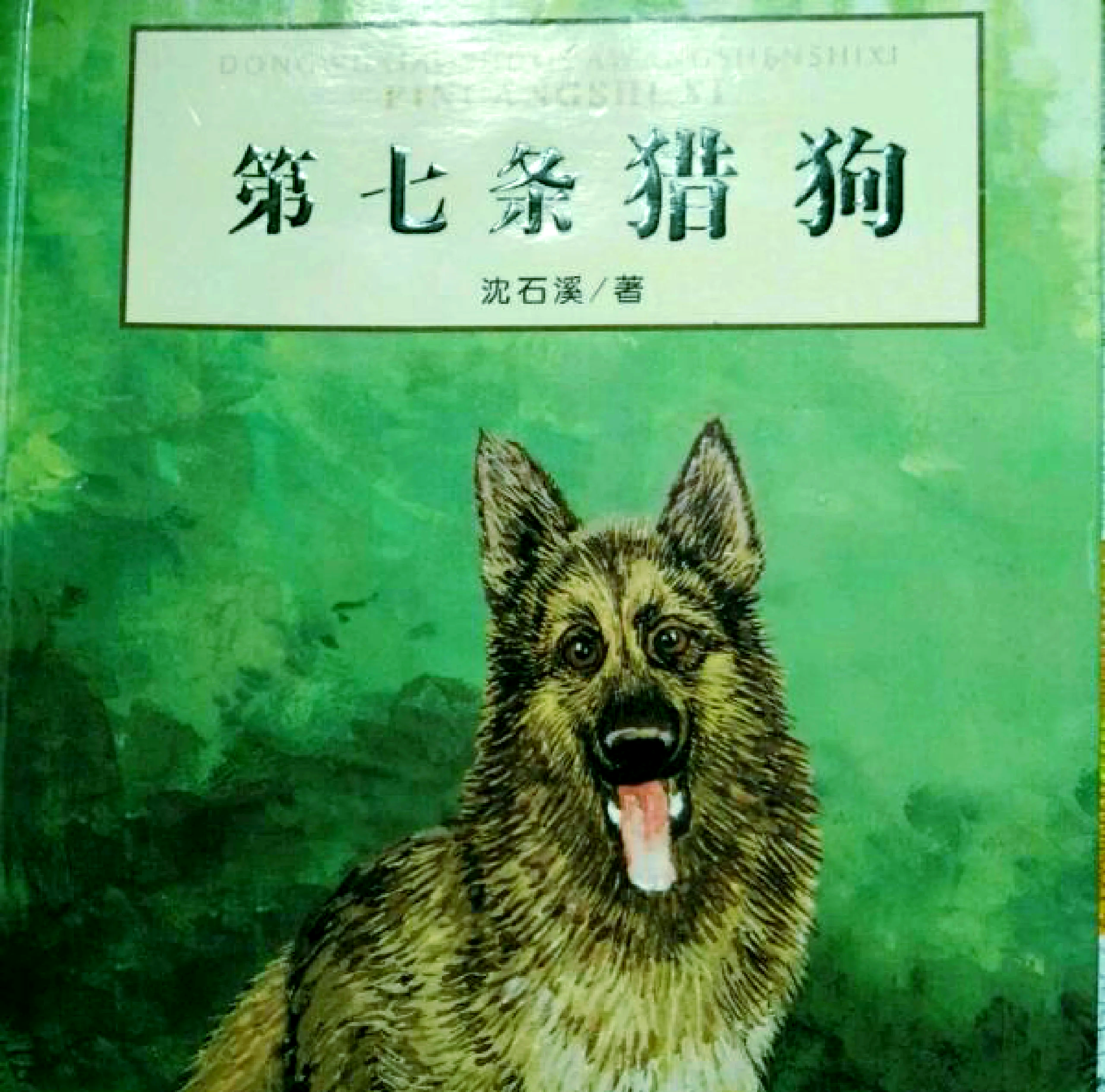 跑狗网出版.www66554跑狗网出版，引领宠物文化的新篇章