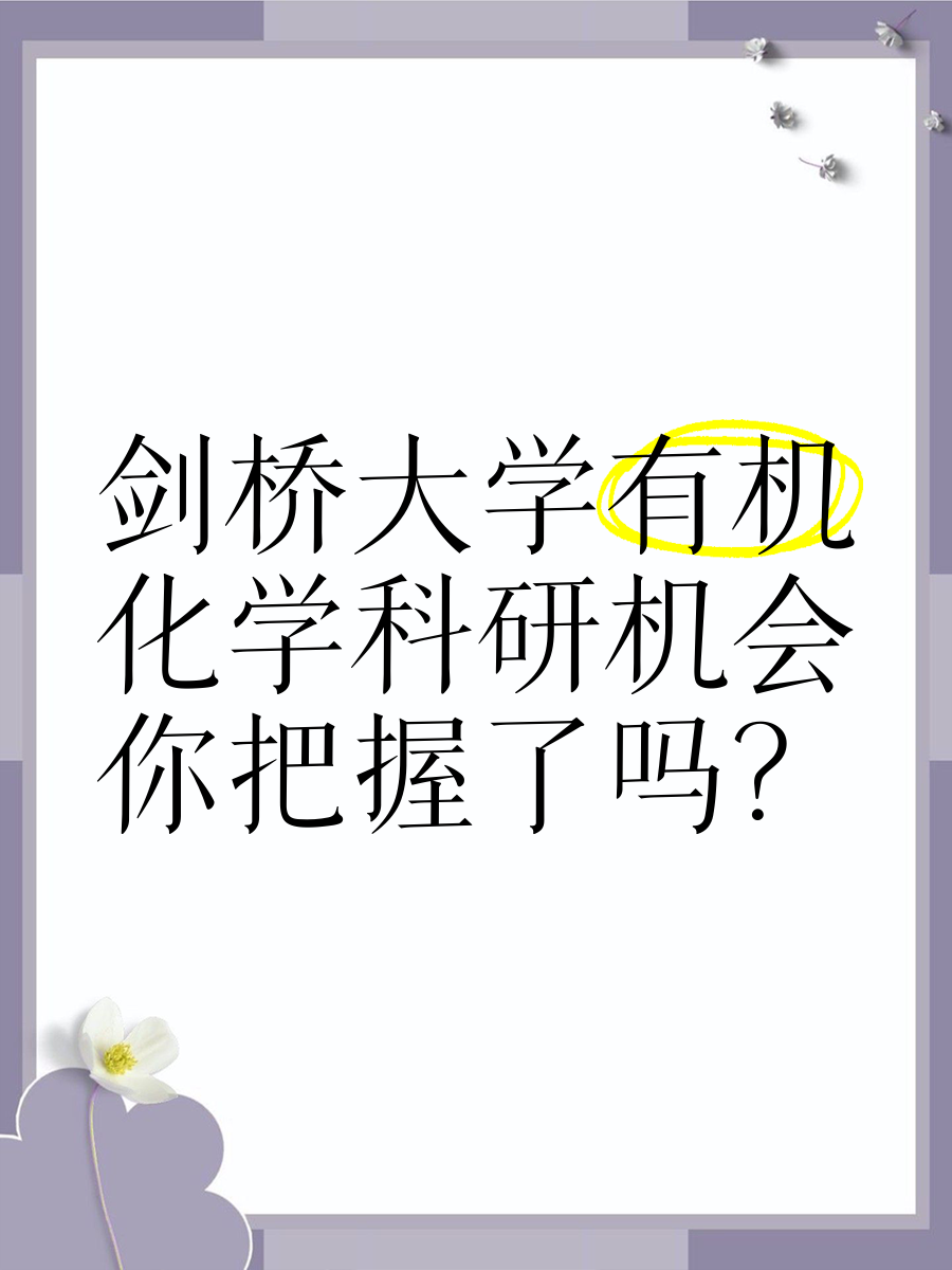 盈彩网，把握机遇，畅享财富之旅-第1张图片