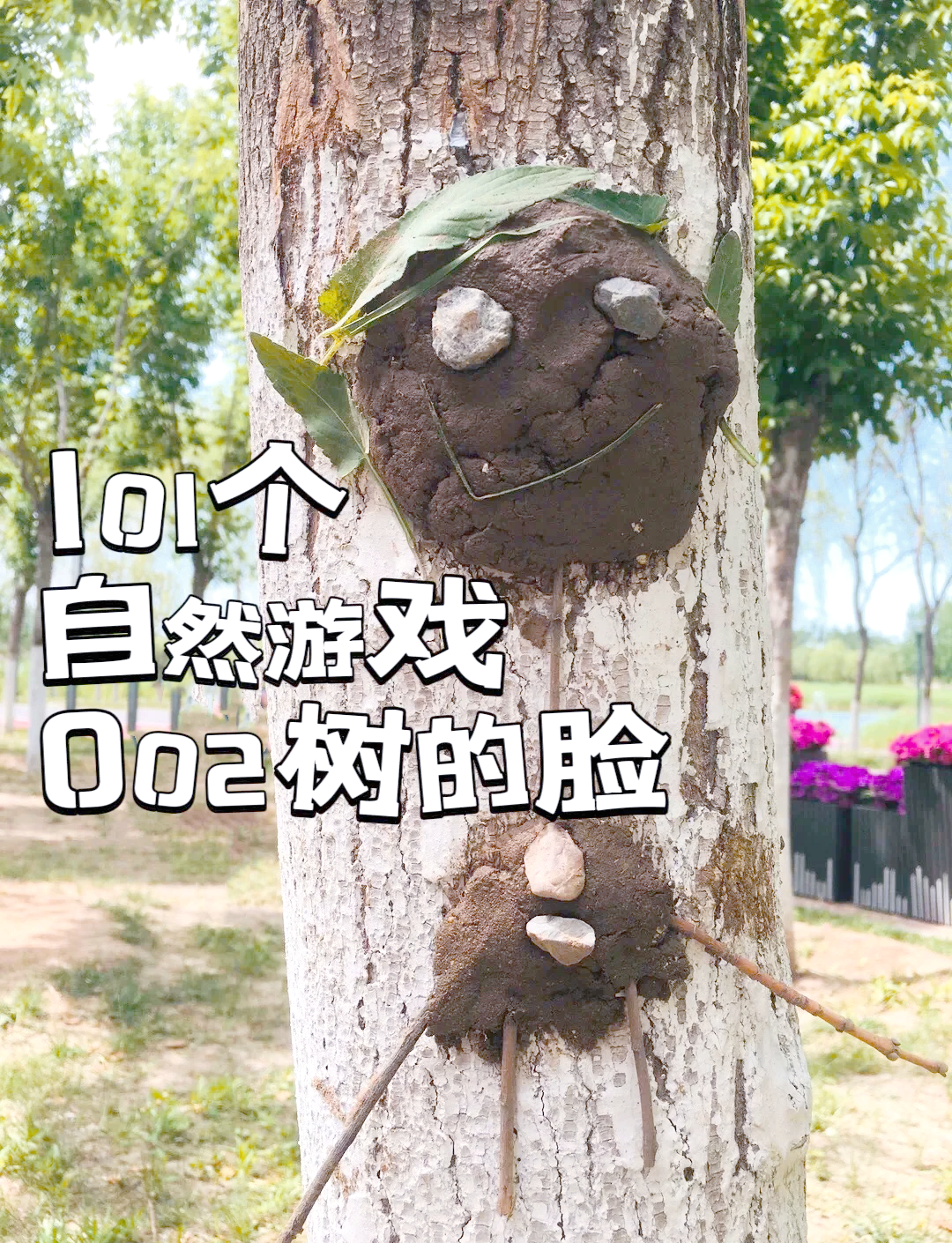 森林游戏森林游戏，探索自然的奇妙世界