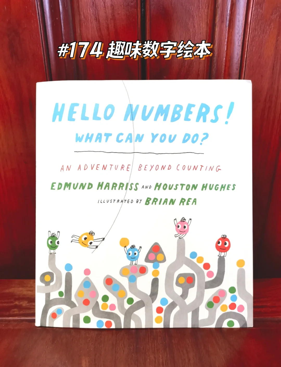 446x探索数字奥秘——446x