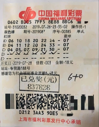 6合宝典最新开奖6合宝典最新开奖，揭秘幸运之门