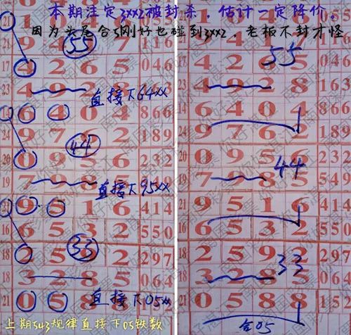 海南七星彩论坛特区，探索彩票新天地-第2张图片