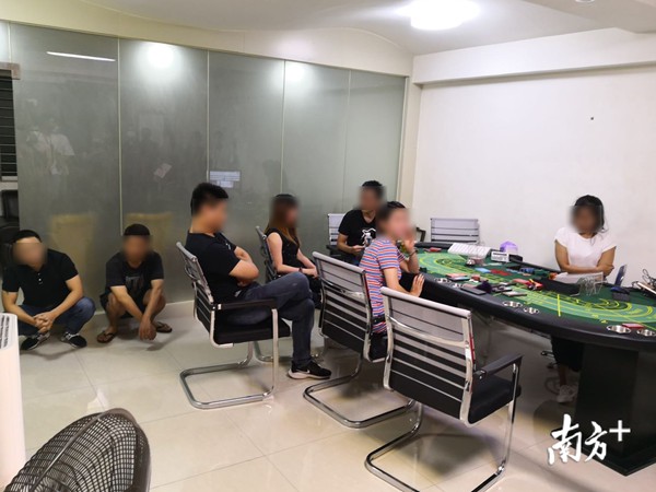 百家乐论坛百家乐论坛，探索网络赌博的秘密世界