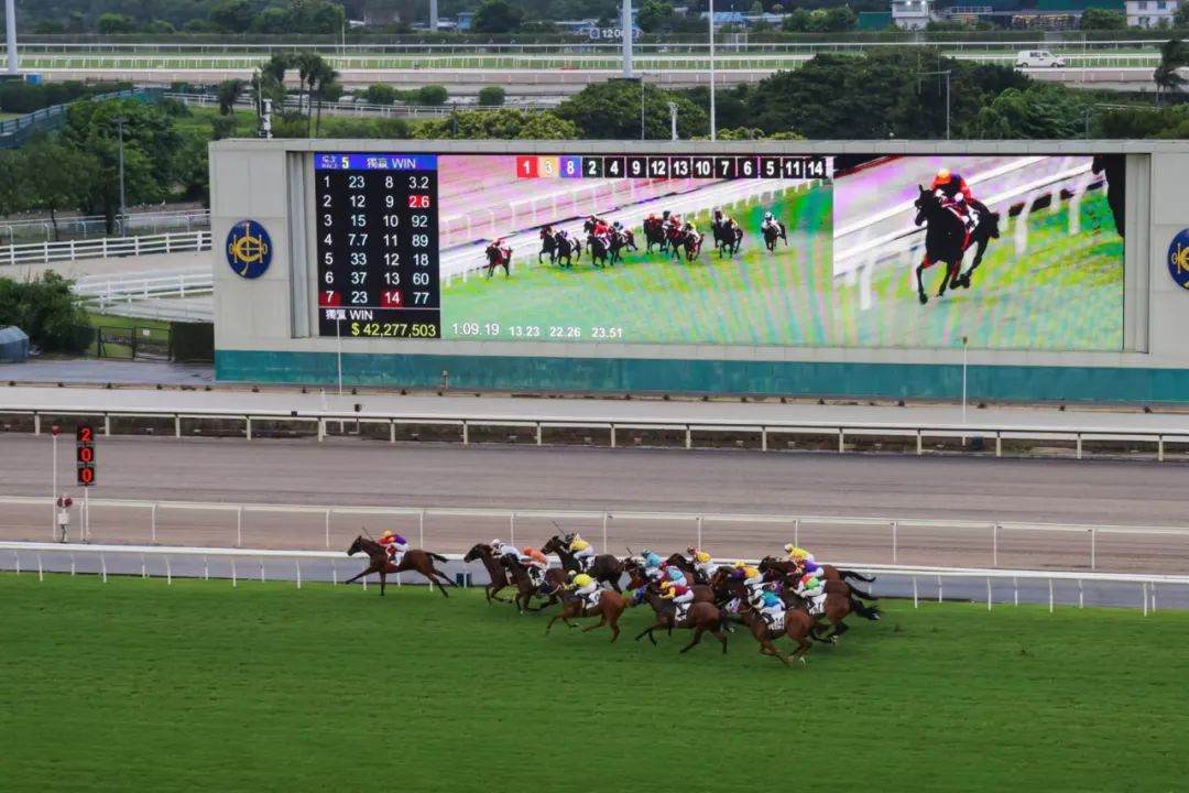 香港马赛马会最准资料香港马赛马会最准资料-第2张图片