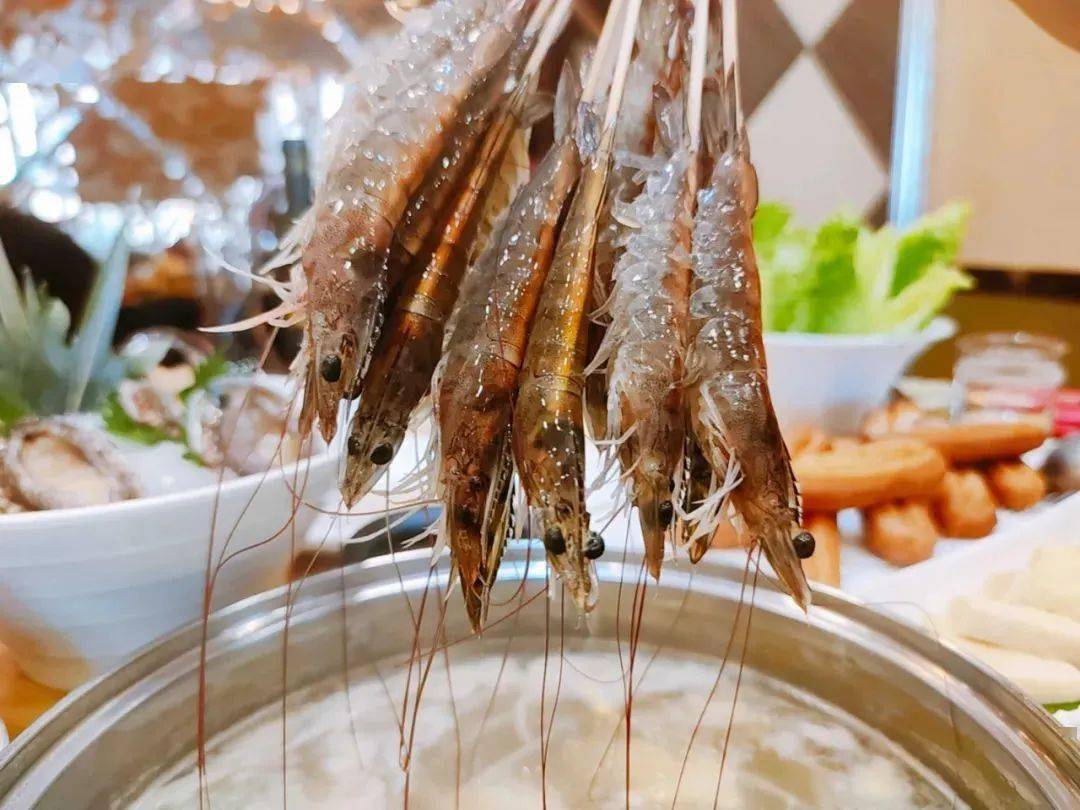 澳门豆捞官网网址澳门豆捞官网，品味美食，畅享文化