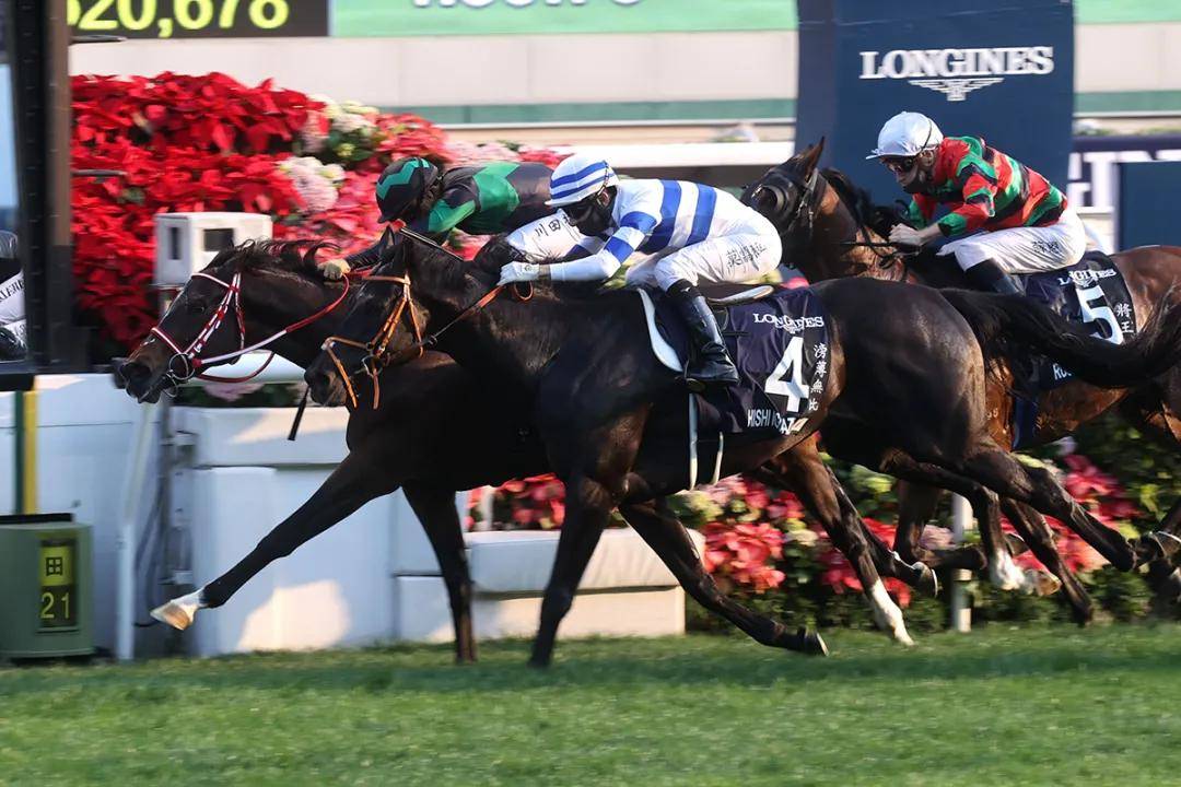 香港马现场开奖结果2021香港马现场开奖结果2021-第2张图片
