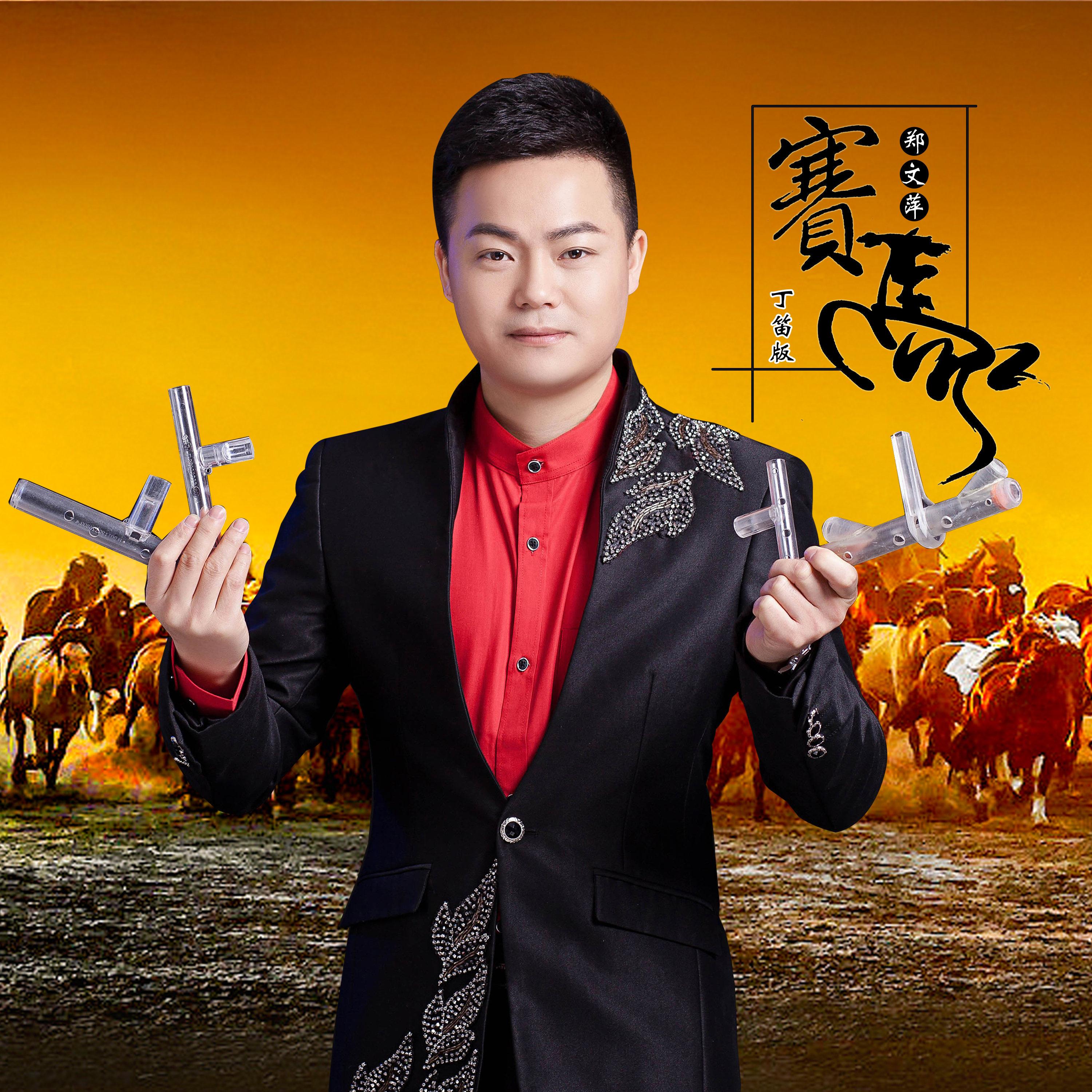 二手赛马价格二手赛马市场，探索与机遇-第2张图片