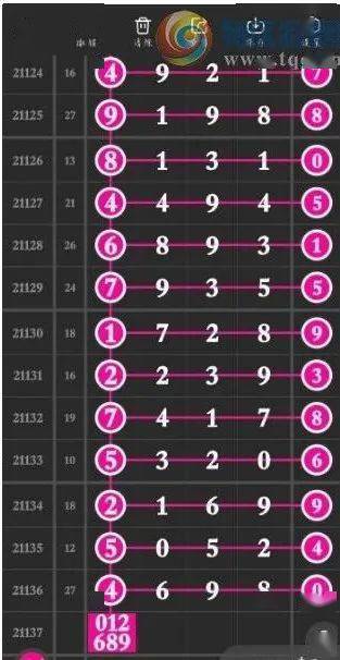 澳门一肖一码一一特中，探索数字彩票与特区文化