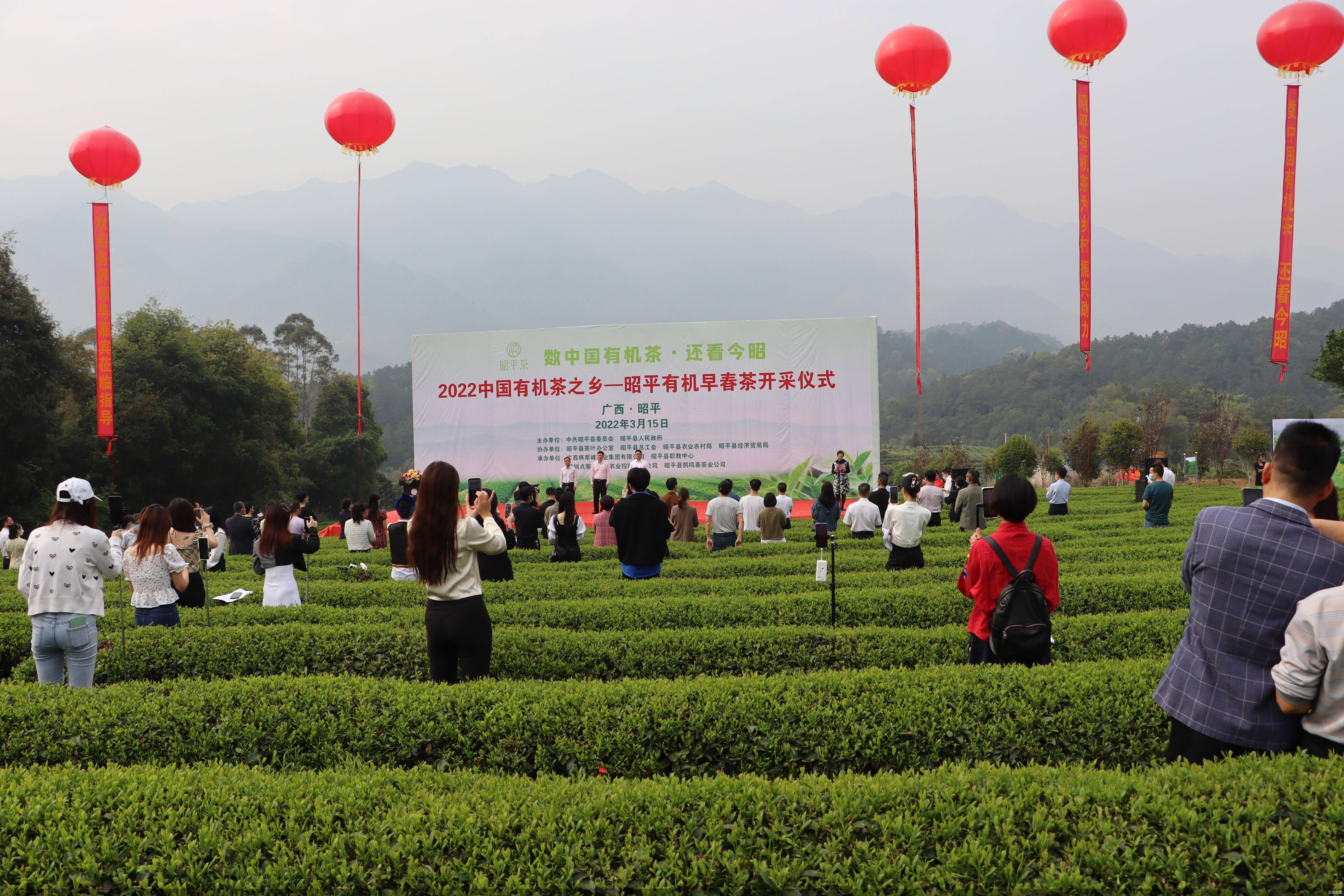 茶叶可以带上飞机吗不托运茶叶能否带上飞机-第2张图片