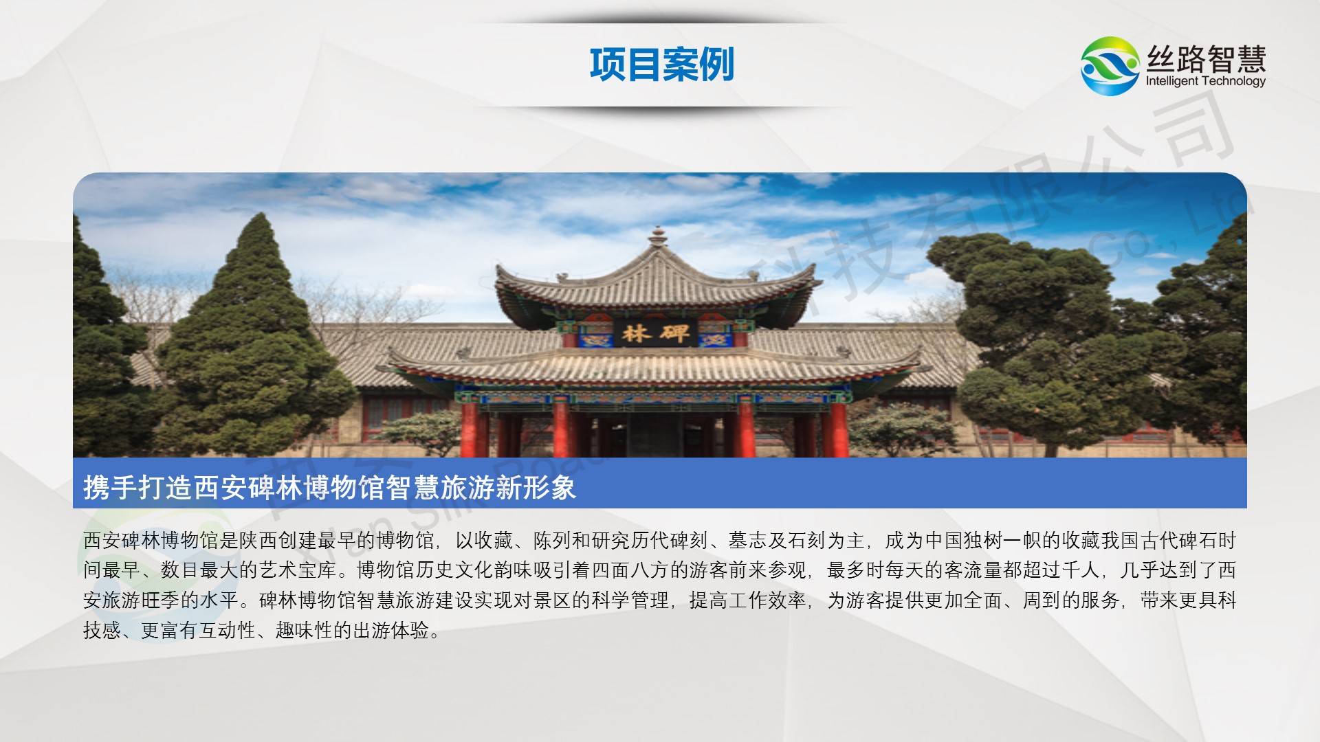 2023年澳门正版资料免费公开，探索数字化时代的资料宝库-第2张图片