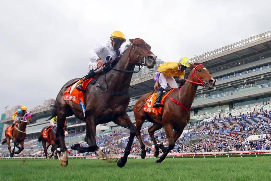 2021年香港马会今期开奖2021年香港马会今期开奖回顾-第2张图片
