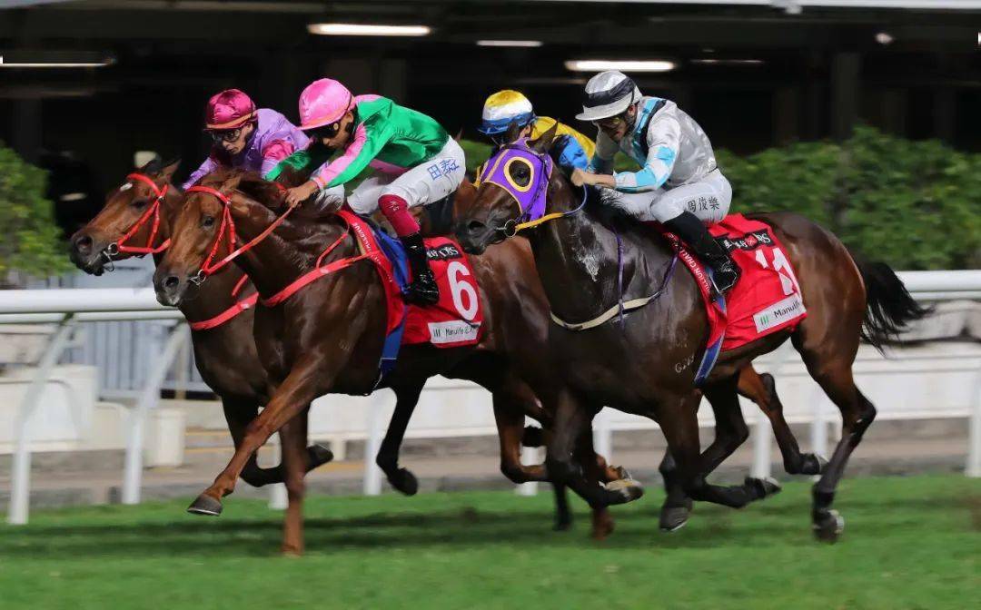 香港赛马协会会长是谁香港赛马协会，引领香港赛马文化的新篇章