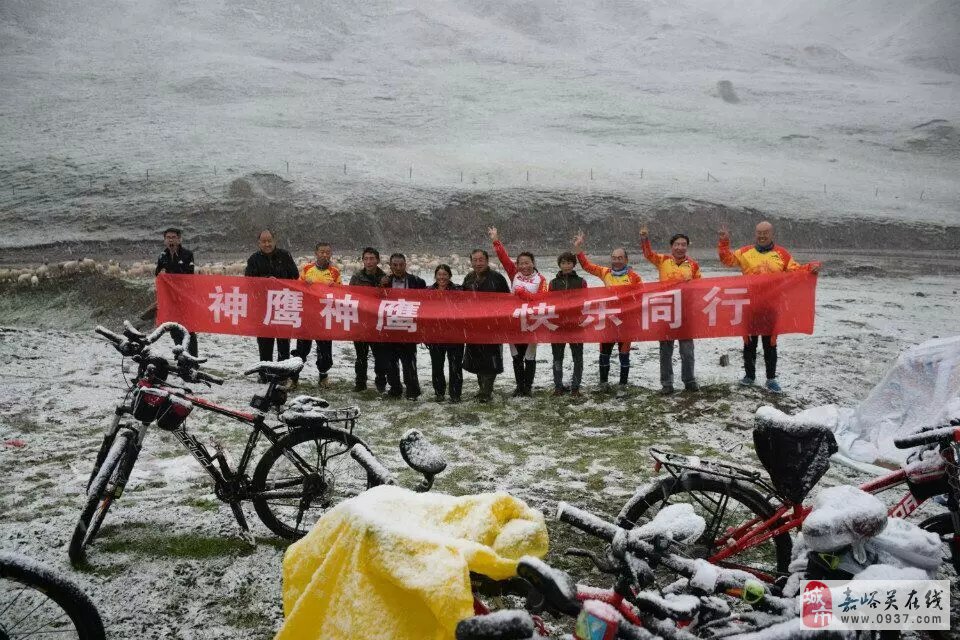 神鹰论坛，探索网络交流的新天地-第1张图片